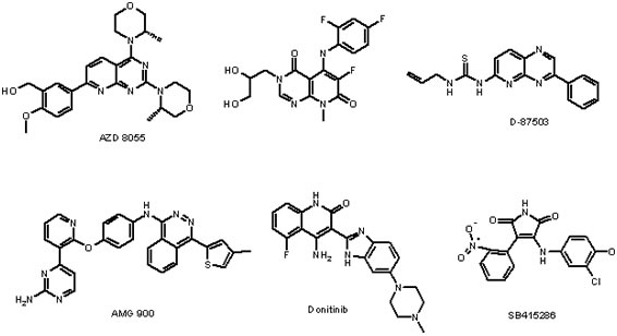 Custom_Synthesis